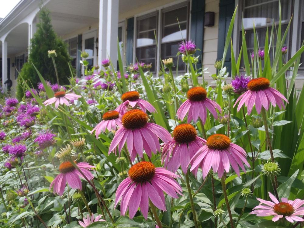Glass House Inn Erie Near I-90 & I-79 Экстерьер фото